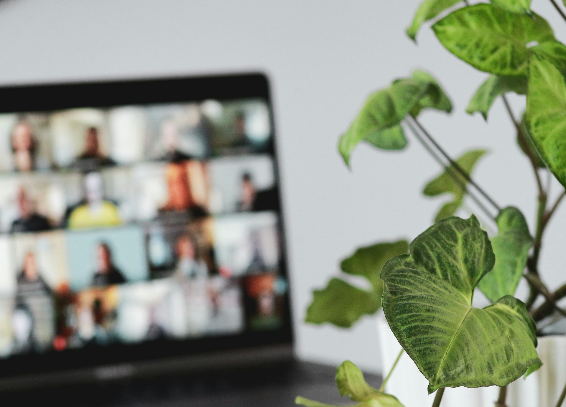 Laptop mit Webinar